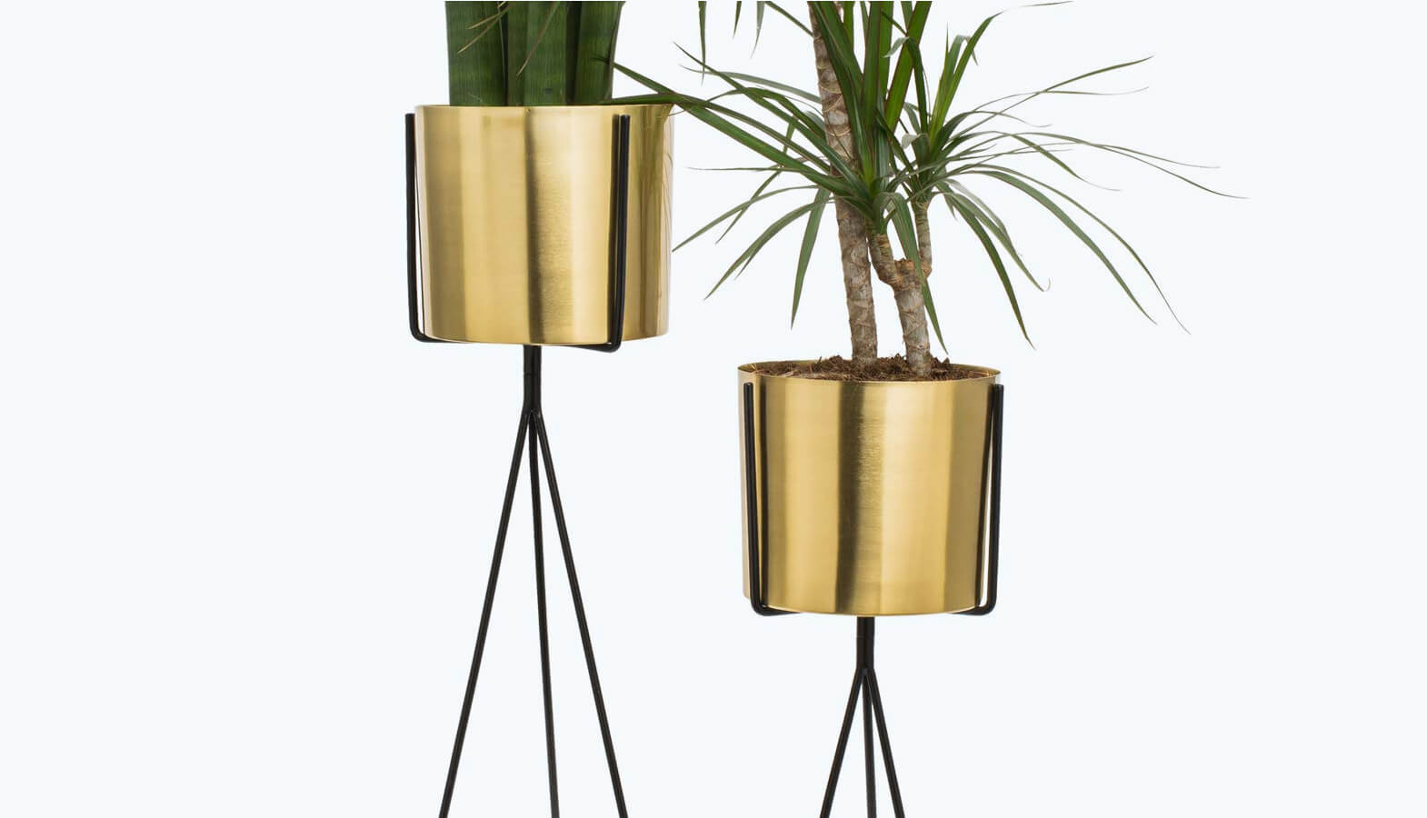 Our Favorite Plant Pots and Stands