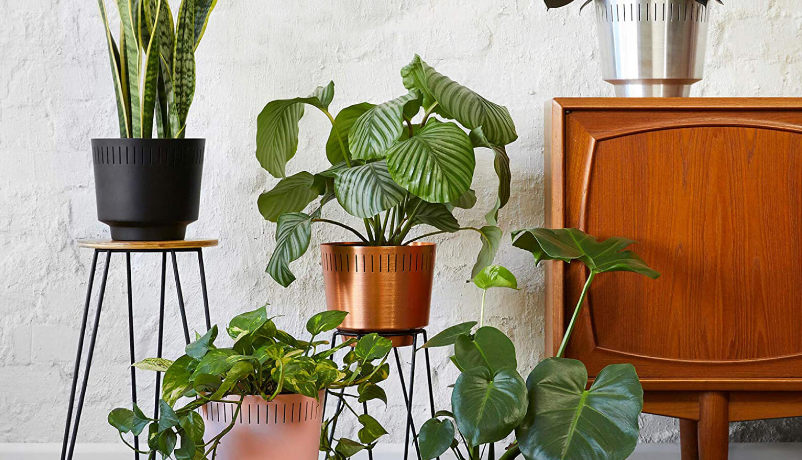 MODN LOVR Indoor Planter